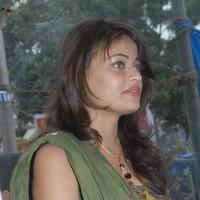 Sneha Ullal Inaugurates Kuber Jewellery Opening - Gallery | Picture 90872